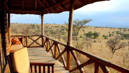 1679747270_30190f7c3b9e16e534eb