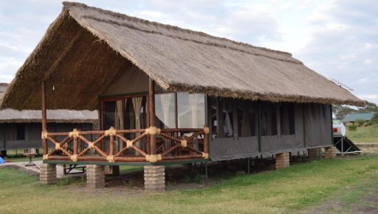 8-Day Exclusive Tanzania Safari