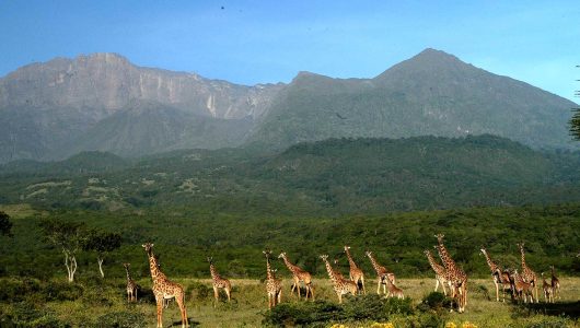 Mount-meru-arusha-1